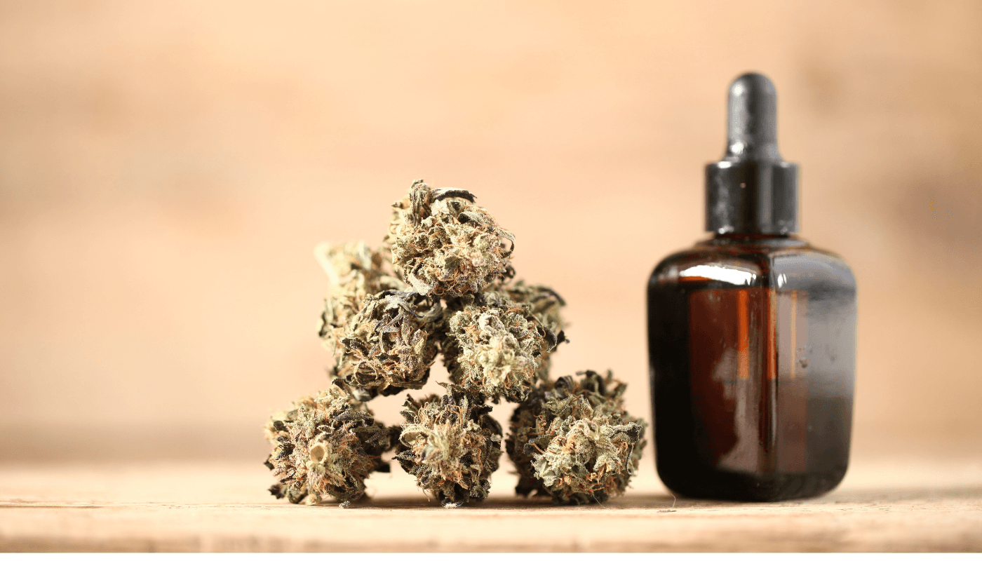 Where to Buy THC Oil in UK Safely with Badbuds’ Online Cannabis Dispensary for Marijuana Buds