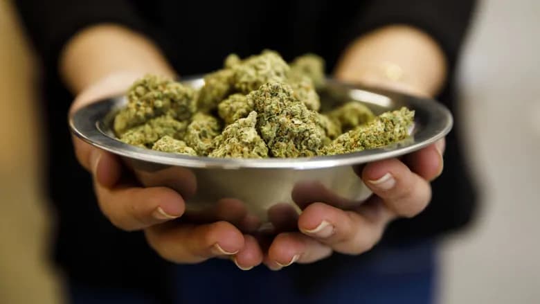 Order Healing CBD & THC Products Nationwide – Therapeutic Cannabis Online