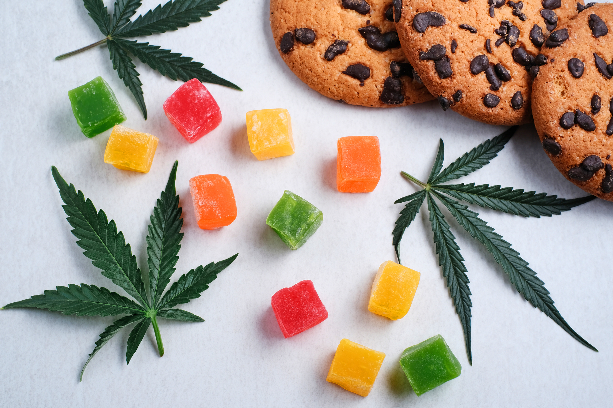 Shop Premium Edibles at Euro Weed Clinic – Buy THC Edibles Europe