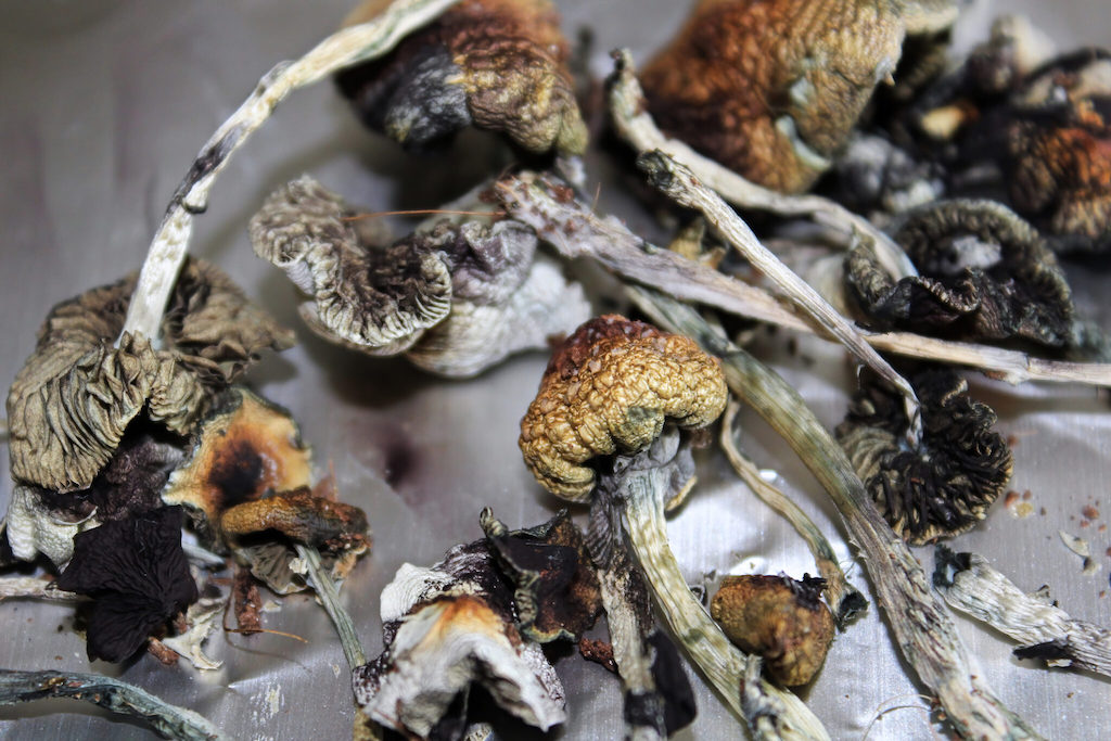 Buy Psychedelic Mushrooms & Magic Truffles – Safe and Reliable for Labs